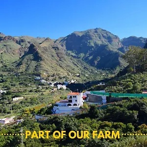https://casa-camino-tamadaba.in-canary-islands.com